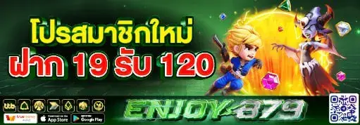 ENJOY879